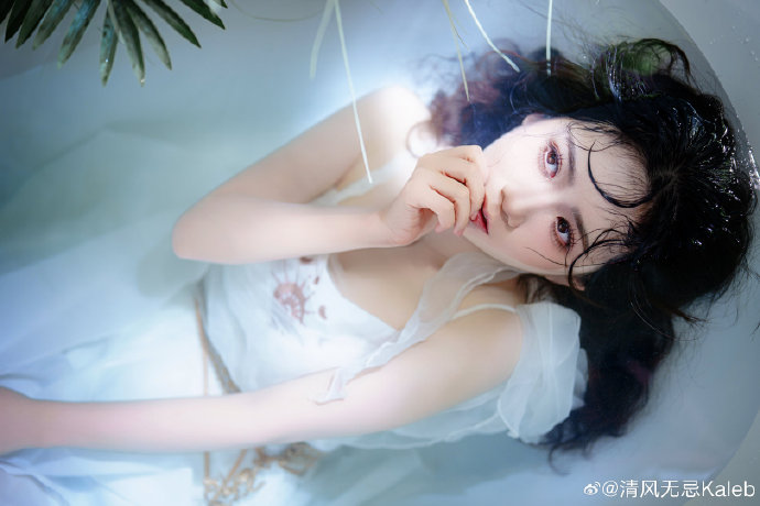 我的团长我的团 封面